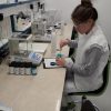 Haleon Levice, s.r.o., 934 05 Levice - Image 2